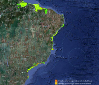 Brasil criará duas unidades de conservação marinha