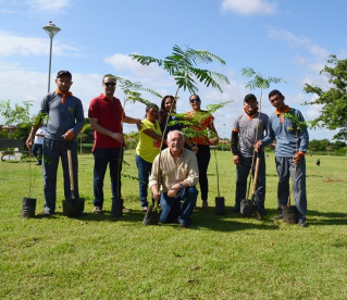 Parque Matias Matos recebe 200 mudas de árvores como compensação ambiental