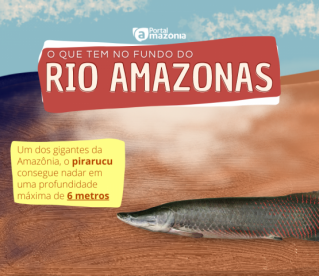 Você sabe o que tem no fundo do Rio Amazonas?
