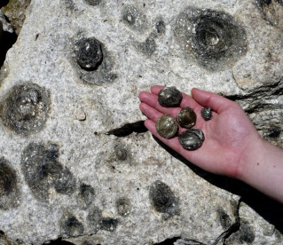Pedras parideiras têm “filhos” (um caso raro em todo o mundo)