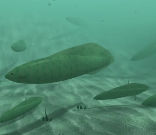 Quando os primeiros peixes viveram na Terra?