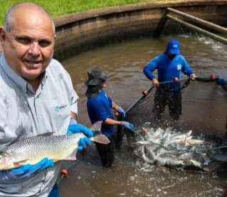 "Barriga de aluguel" para salvar peixes de extinção