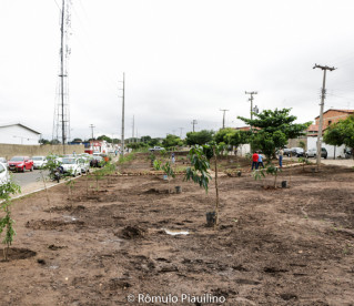 Bosque do Corso de 2017 é implantado na zona Sul de Teresina