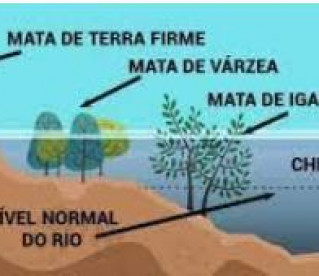 Diferença entre Igapó e Várzea?